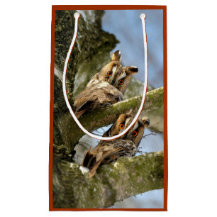 Sacola Para Presentes Pequena Duas Corujas nos Bosques, aves, vida selvagem Pequ