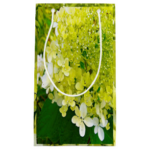 Sacola Para Presentes Pequena Elegante Chartreuse Verdes