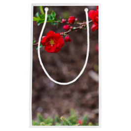 Sacola Para Presentes Pequena Escarlet Superior