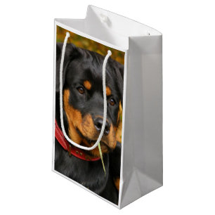 Sacola Para Presentes Pequena Filhote de cachorro de Rottweiler que encontra-se