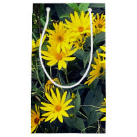 Flores de Alcachofra de Jerusalém