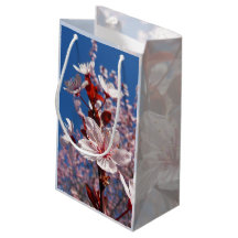 Florescer da primavera polonesa, pequena bolsa de