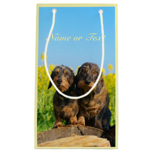 Sacola Para Presentes Pequena Foto bonito de Dackel de dois cães do Dachshund