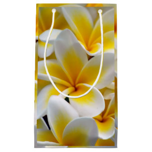 Sacola Para Presentes Pequena Foto da flor do Plumeria do Frangipani