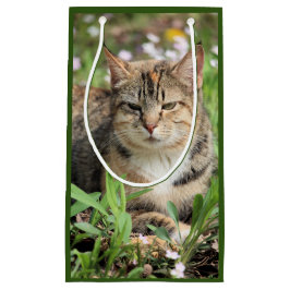 Sacola Para Presentes Pequena Gato