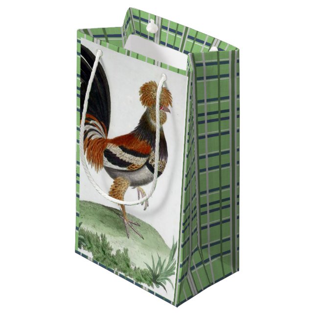 Sacola Para Presentes Pequena Gift Bag French Bird Green (Frente inclinada)