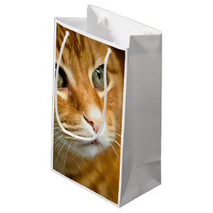 Sacola Para Presentes Pequena Ginger Tabby Cat Posicionando Retrato