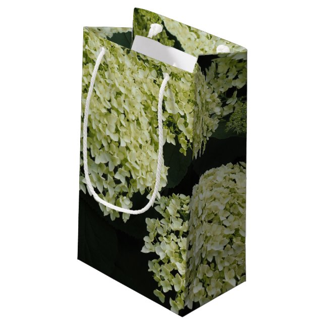 Sacola Para Presentes Pequena Hortênsia Lisa (Verso inclinado)