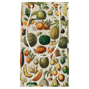 Sacola Para Presentes Pequena Ilustração Científica Botânica Vegetal fruta
