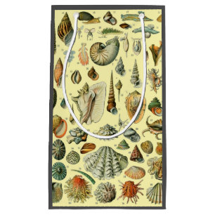 Sacola Para Presentes Pequena Impressão de Conchas Vintage Adolphe Millot Costei