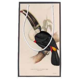 Sacola Para Presentes Pequena Impressão do Tucano-de-bico-preto de Cuvier: Ave T