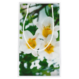 Sacola Para Presentes Pequena Lírios brancos - Lily Flower Lilium candidata