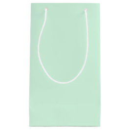 Sacola Para Presentes Pequena Mint Gift Bag