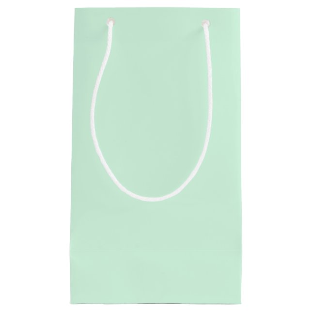 Sacola Para Presentes Pequena Mint Gift Bag (Frente)