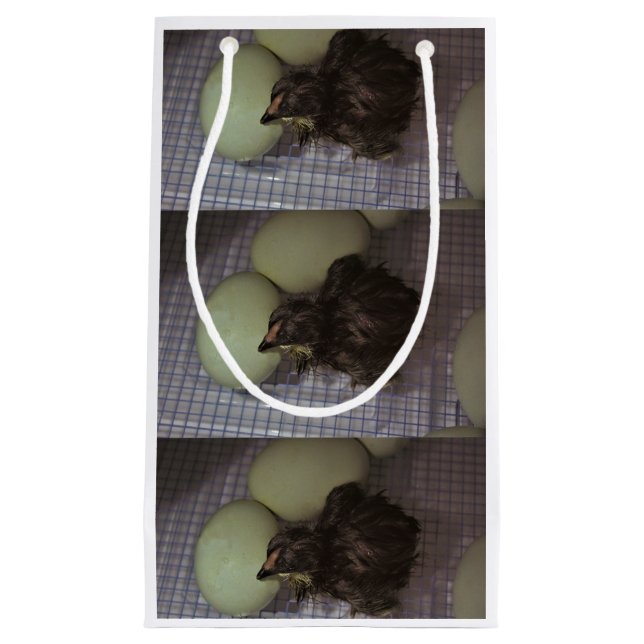 Sacola Para Presentes Pequena Minutos velhos (Frente)