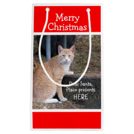 Sacola Para Presentes Pequena Natal Deseja Laranja Tabby Gift Bag