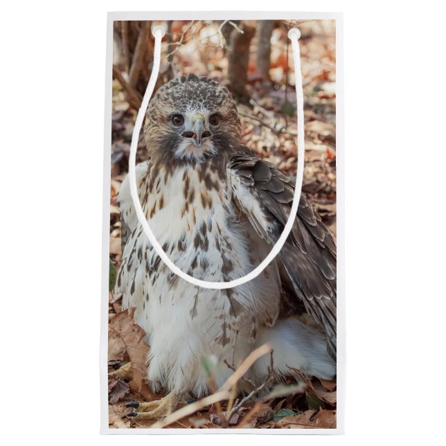 Sacola Para Presentes Pequena O vermelho atou o falcão dobrado (Frente)