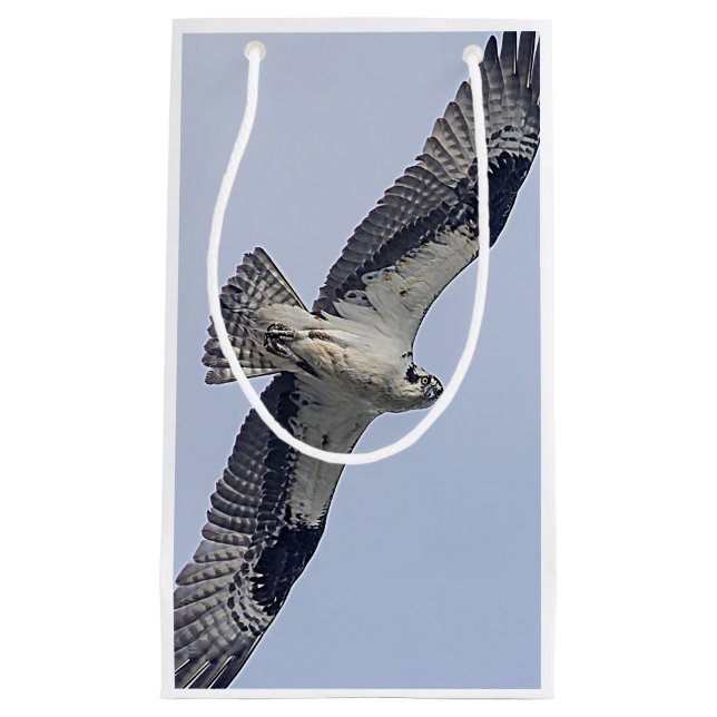 Sacola Para Presentes Pequena Osprey em vôo (Frente)