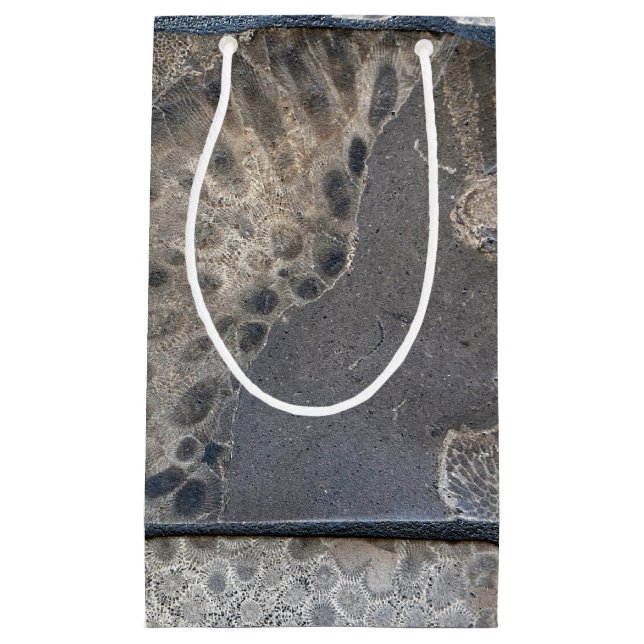 Sacola Para Presentes Pequena Padrão de Pedra de Petoskey (Frente)