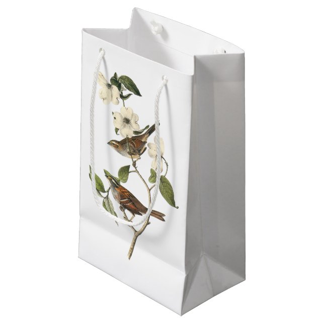 Sacola Para Presentes Pequena pardal Branco-throated por Audubon (Frente inclinada)