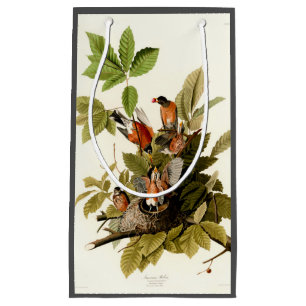 Sacola Para Presentes Pequena Pássaro Americano Robin Wildlife