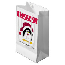 Pinguim com um Chapéu de Papai Noel