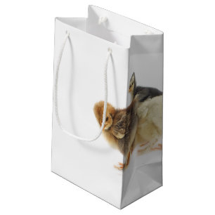 Sacola Para Presentes Pequena pintinhos
