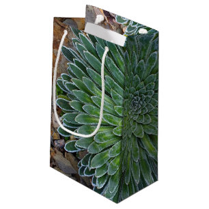 Sacola Para Presentes Pequena Planta de deserto do Succulent