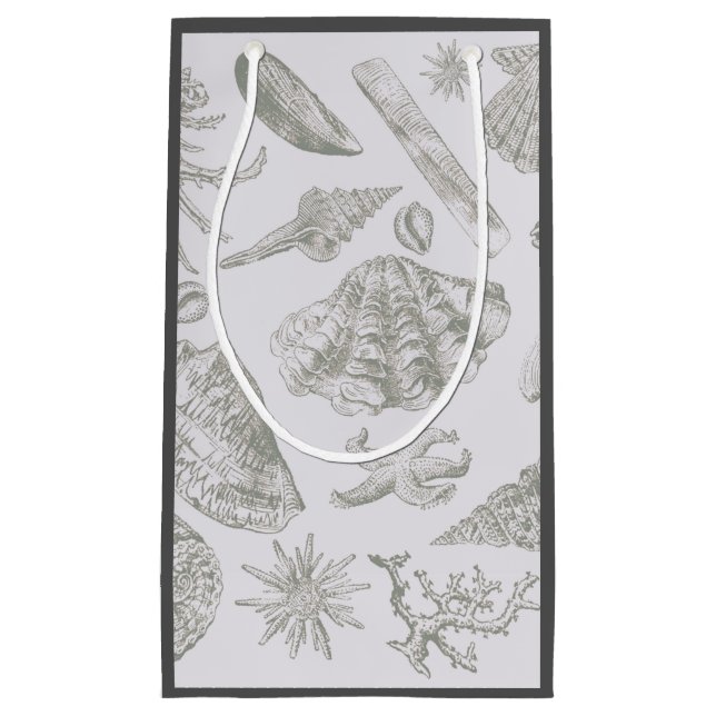 Sacola Para Presentes Pequena Prateleiras de Arte Suave de Seashell (Frente)