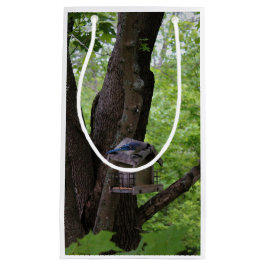 Sacola Para Presentes Pequena Procurando uma mordida para comer