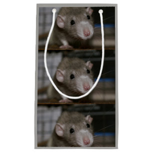 Sacola Para Presentes Pequena Rato curioso