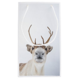 Sacola Para Presentes Pequena Reindeer Nature Photo