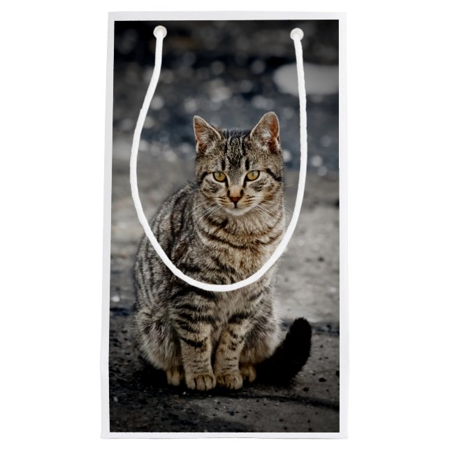 Sacola Para Presentes Pequena Retrato de um gato (Frente)