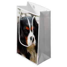 Sacola Para Presentes Pequena Retrato De Um Rei Charles Cavalier Spaniel