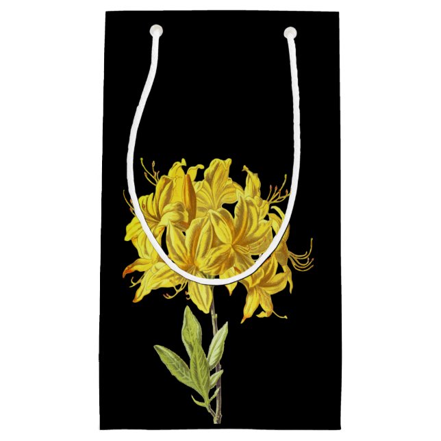 Sacola Para Presentes Pequena Rhododendron luteum (Azalea Ponta) (Frente)