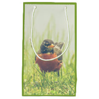 Robin Bird Green