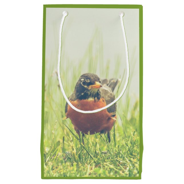 Sacola Para Presentes Pequena Robin Bird Green (Frente)