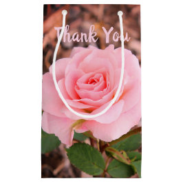 Sacola Para Presentes Pequena Rosa de Jardim Rosa