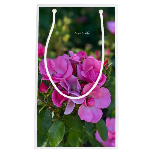 Sacola Para Presentes Pequena Rosa Rosa Rosa lavanda (Frente)