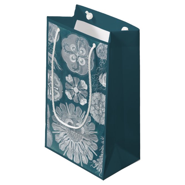 Sacola Para Presentes Pequena Sealife Blueprint IV (Frente inclinada)