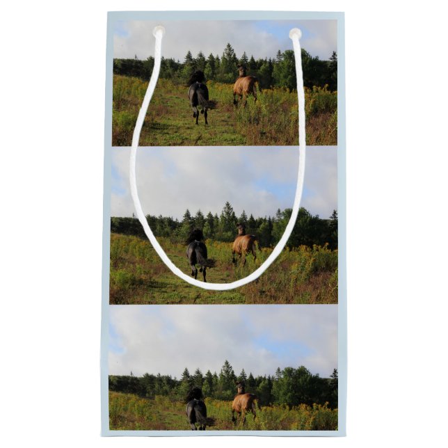 Sacola Para Presentes Pequena Selvagem Running (Frente)