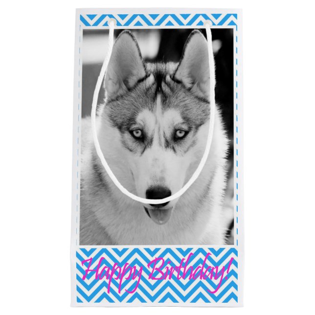 Sacola Para Presentes Pequena Siberian Husky Dog Blue Happy Birday (Frente)
