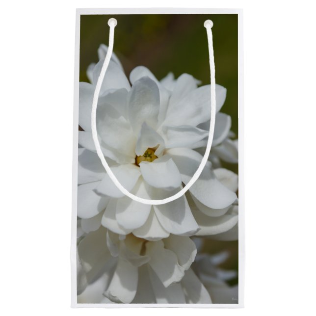 Sacola Para Presentes Pequena Silky Magnoly (Frente)