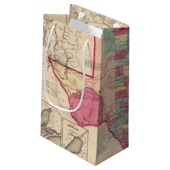 Sacola Para Presentes Pequena Texas 10 (Verso inclinado)