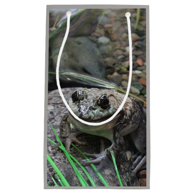 Sacola Para Presentes Pequena Um sapo feliz (Frente)