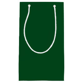 Sacola Para Presentes Pequena Verde Rico (Sólido)