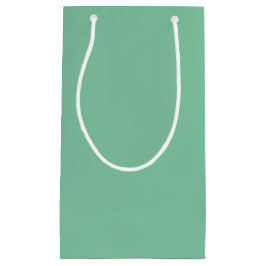 Sacola Para Presentes Pequena Vintage Seafoam Solid Color