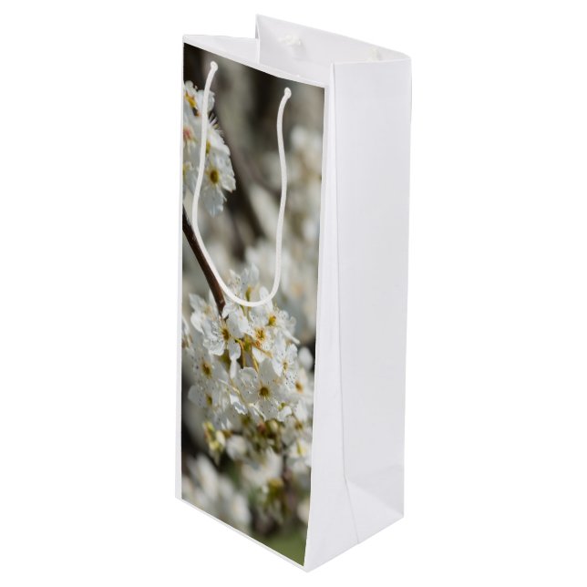 Sacola Para Vinho Bradford Select Focus (Frente inclinada)