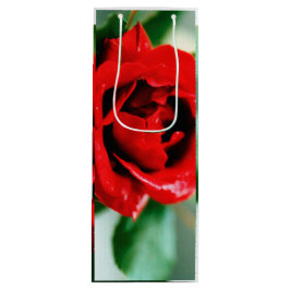 Sacola Para Vinho Rosa vermelha magnífica com gotas de orvalho matin