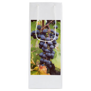 Sacola Para Vinho Saco de Vinho de Vinho
